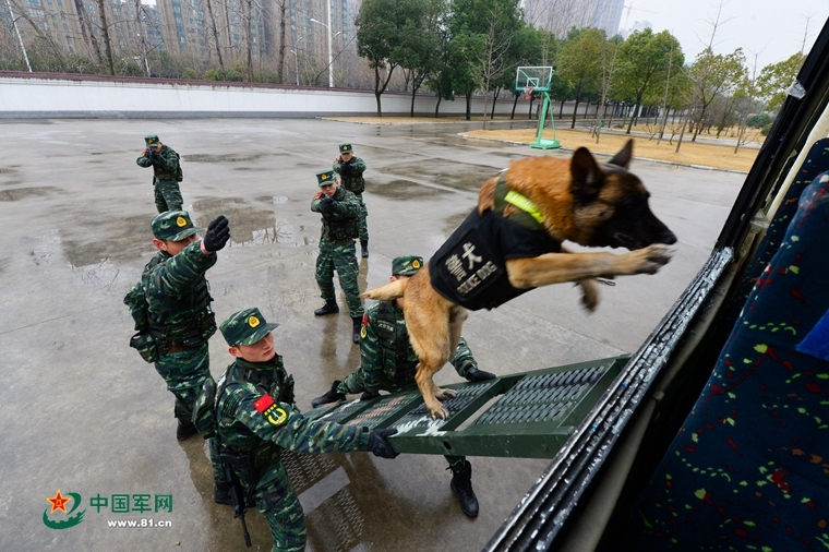 适合女孩的街舞种类：那些你不知道的舞池小秘密